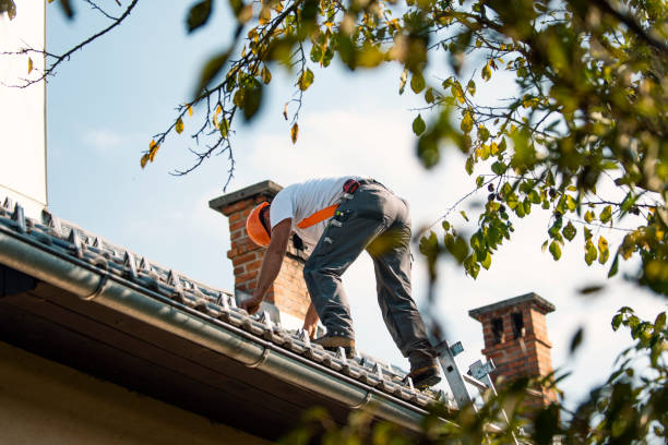 Best Roof Repair Services  in Hamilton City, CA