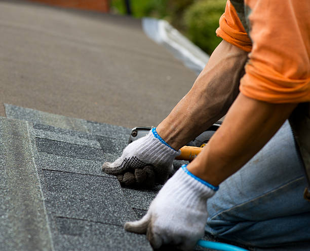 Best Shingle Roofing Installation  in Hamilton City, CA