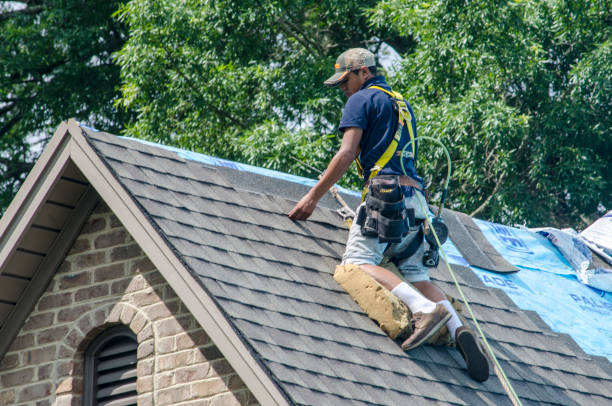 Best Roof Gutter Cleaning  in Hamilton City, CA